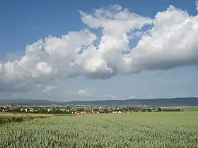 Horizonte de Wöllstadt