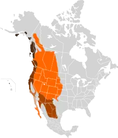 Distribuição geográfica de 7 subespécies.
&nbsp;&nbsp;O. h. sitkensis
&nbsp;&nbsp;O. h. columbianus
&nbsp;&nbsp;O. h. californicus
&nbsp;&nbsp;O. h. fuliginatus
&nbsp;&nbsp;O. h. peninsulae
&nbsp;&nbsp;O. h. eremicus
&nbsp;&nbsp;O. h. hemionus