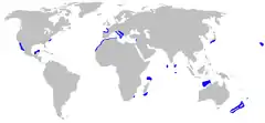 Distribuição do Odontaspis ferox