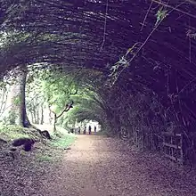 Parque CEMUCAM (Cotia).