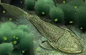 Cephalaspis um peixe