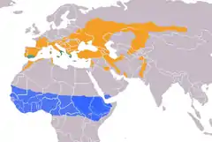 Verão Residente Inverno