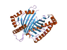 Estrutura molecular da proteína
