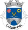 Brasão de armas de Carvalhosa