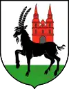 Brasão de armas de Wieruszów
