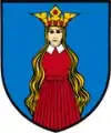 Brasão de armas de Borów