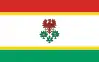 Bandeira do Condado de Choszczno