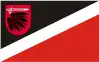 Bandeira do Condado de Wąbrzeźno