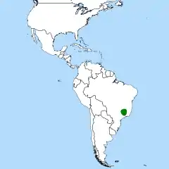 Área de maior concentração de espécies do género. Porém Paepalanthus ocorre em outras localidades além da área destacada em verde.