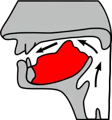 Articulação da consoante palatal