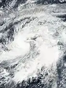 A low-level circulation develops, convection wraps around the center, and winds increase to tropical storm-force, signifying the system's development into a tropical storm.