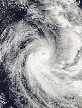 imagem ilustrativa de artigo Ciclone Pancho