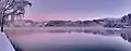 Panorama invernal do Lago de Bled