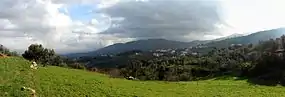 Panorama dos olivais encontrados no lugar de Souto Moninho