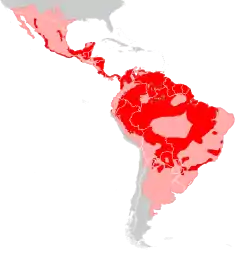Atual Original Apesar do espaço "vazio" em parte da Amazônia brasileira, sua presença foi confirmada na região: isso se deu por conta do desconhecimento do status de conservação da espécie.