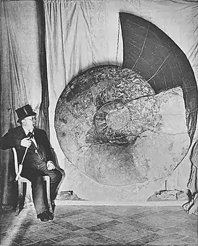 Asteroceras sp., amonite do Jurássico Inferior encontrado na Inglaterra