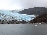 Glaciar Pío XI