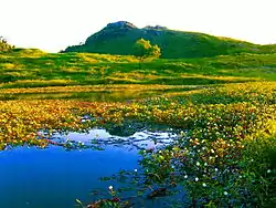 Vista da Pedra do Cordeiro