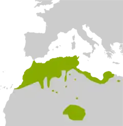 Sua distribuição está compreendida pela área em verde.