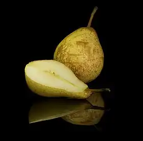 Pera rocha
foto pro Rodrigo Tetsuo Argenton, parte do Programa de ilustração