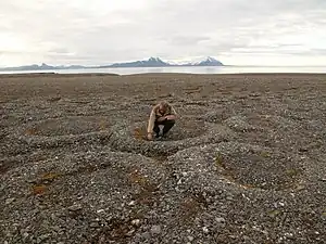 Anéis de pedra em Spitsbergen.