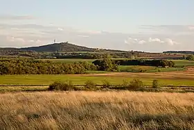 Horizonte de Petersberg