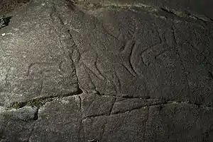 Petróglifos galaico-portugueses: cervídeos