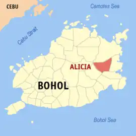 Alicia na Bohol  Coordenadas : 9°53'44.55"N, 124°26'29.46"E