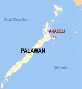 Araceli na Palauã Coordenadas : 10°33'10.44"N, 119°59'25.49"E