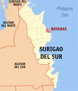 Bayabas na Surigao do Sul  Coordenadas : 8°58'4"N, 126°16'54"E