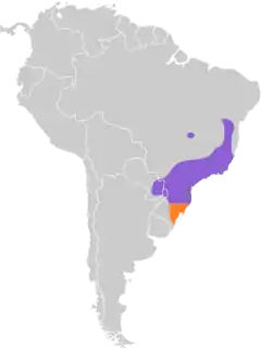 Distribuição da tesourinha-da-mata na América do Sul