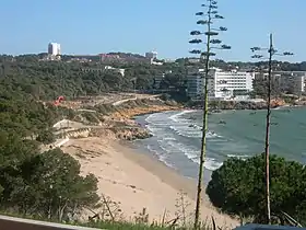 Playa Larga