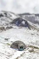 Poço da Neve - monumento em Funchal, Madeira, Portugal.
