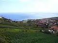 Campos agrícolas na Calheta