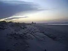 Praia de Ponta do Mel