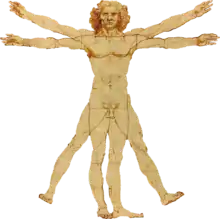 O Homem Vitruviano, criado por Leonardo da Vinci entre 1485-90 e atualmente localizado na Galleria dell'Accademia em Veneza.