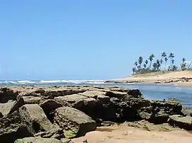 Porto do Sauípe, litoral do município.