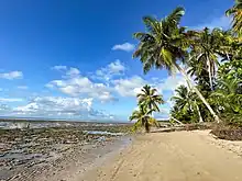 Praia de Castelhanos Ilha de Boipeba Bahia