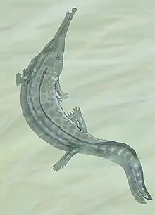 Prionosuchus plummen um anfíbio Comprimento: 9 m