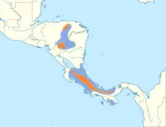 Distribuição de P. tricarunculatus