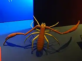 Reconstituição de Pseudoblothrus strinatiino Muséum d'histoire naturelle de Genève(escala: ×70)