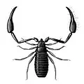 Ilustração de um Pseudoscorpionida (pseudoescorpião).