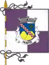 Bandeira de Montes