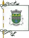 Bandeira de Reboleira