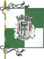 Bandeira de Benavente