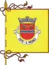 Bandeira de São Pedro de Este