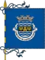 Bandeira de Castelo de Paiva
