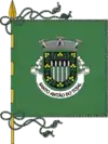 Bandeira de Santo Antão do Tojal