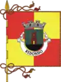 Bandeira de Redondo
