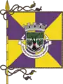 Bandeira de Reguengos de Monsaraz